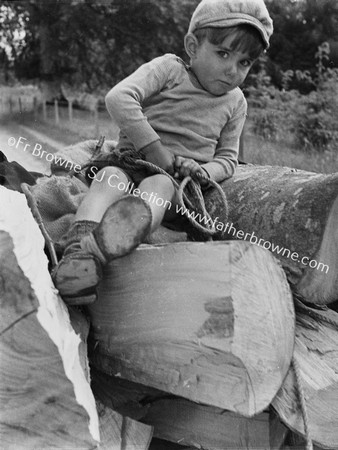 SMALL BOY AT HELM